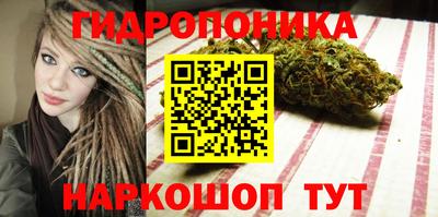 мдпв Лесосибирск