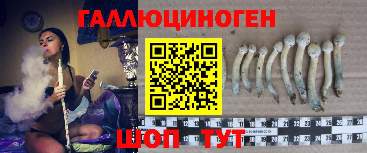 Псилоцибиновые грибы MAGIC MUSHROOMS  Вход с VPN  Азов  Галлюциногенные грибы мицелий 
