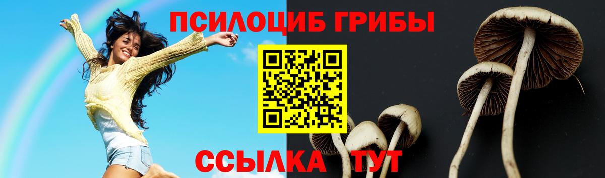 Псилоцибиновые грибы Psilocybe Азов